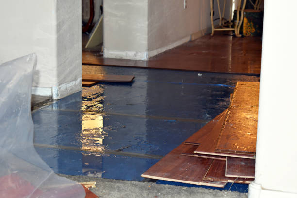 Professional Water Damage Restoration technician working in Vandiver, AL